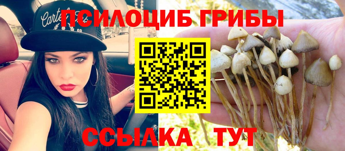 Галлюциногенные грибы Psilocybine cubensis Валуйки