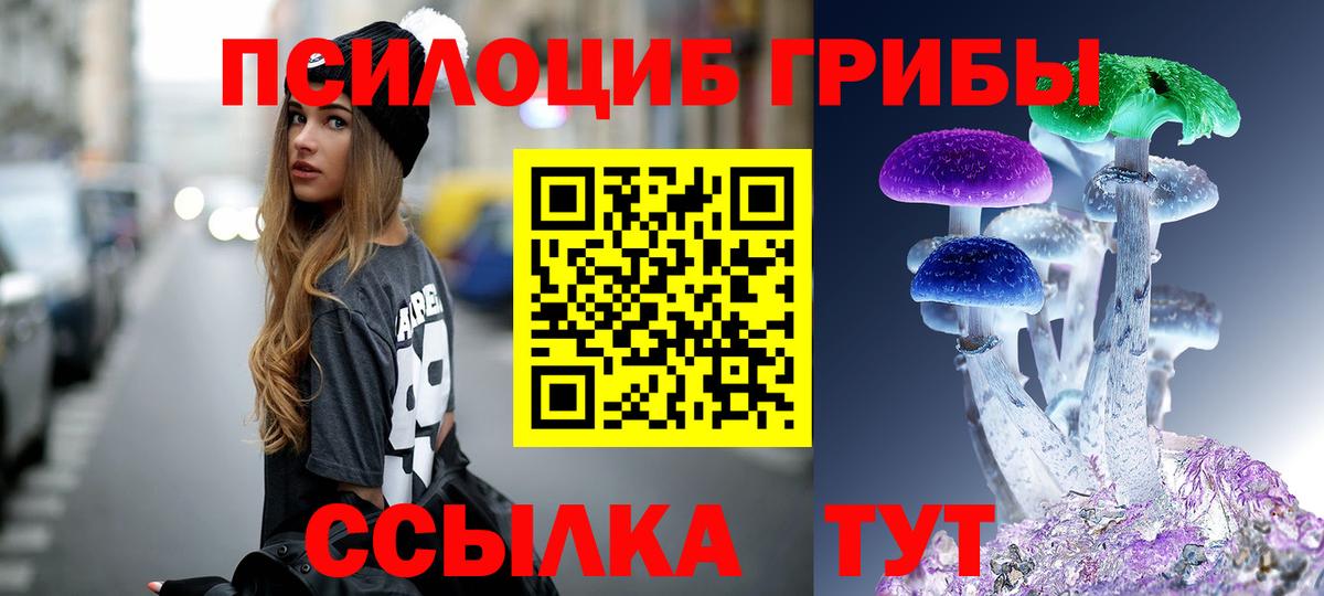 Галлюциногенные грибы MAGIC MUSHROOMS  Вход с VPN  Валуйки 